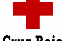 Actividades Pineo Cruz Roja Prueba